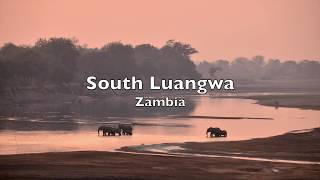 South Luangwa Zambia [upl. by Maison]