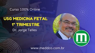 Curso de USG Ultrassom Medicina Fetal [upl. by Mcnamara375]