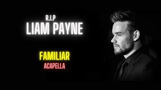 Liam Payne ft J Balvin Familiar Acapella  Vocals Only [upl. by Rhys]