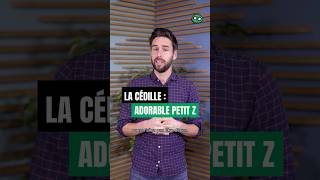 La cédille quotpetit Zquot  shorts culture histoire incroyable français ça langue apprendre [upl. by Mendes]