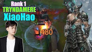 RANK 1 TRYNDAMERE  XIAOHAO TRYNDAMERE VS DARIUS [upl. by Olegnaed]