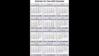 2025 For Calendar For 2025S for 2 Pack [upl. by Merow199]