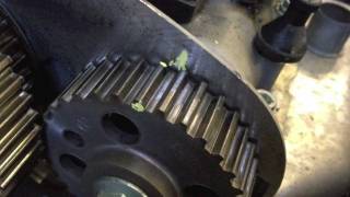 VW Polo 14 cambelt timing belt change  quotHow toquot [upl. by Boykins]