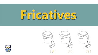 Fricatives [upl. by Aerdua]