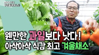 식감도 색감도 모두 잡았다 양상추와 파프리카의 빛나는 콜라보 우리 동네 대소사 200109 [upl. by Antonetta741]