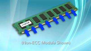 Whats the Difference Between ECC Memory and NonECC Memory [upl. by Adamsun155]