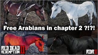 Four free Arabian Horse in chapter 2 in Red Dead Redemption 2 in 2021  Black Arabian RDR2 [upl. by Sada177]