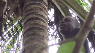 quotWelcome to Zanzibar songquot unedited video [upl. by Terrel878]