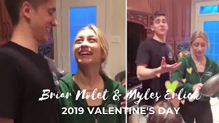 Briar Nolet amp Myles Erlick  Bryles Valentines Day 2019 Shorts [upl. by Nyrehtac424]