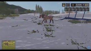 LS 17  Dreisterner Winter  Livestreamaufnahme v 151017 [upl. by Assirol]