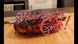 ALIENBBQ Leckerste Ente vom Spieß [upl. by Anahir]