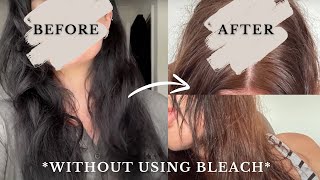 Removing Permanent Black Box Dye WITHOUT BLEACH at Home DIY Colour Remover REVIEW [upl. by Sanjay]