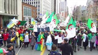 MARCHE DES ALGERIENS A MONTREAL مسيرة للجالية الجزائرية في كندا ساعات الفجر وماجاني نوم [upl. by Norrat]