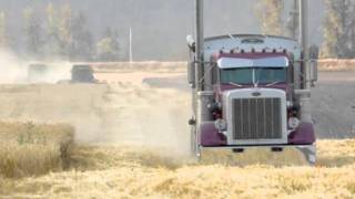 Idaho Wheat Harvest [upl. by Hong]