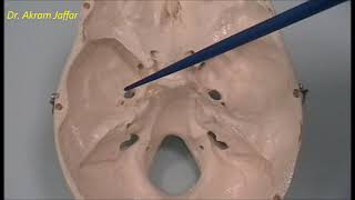 Osteology of the skull 6 cranial cavity [upl. by Florio21]