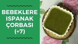 BEBEKLERE ISPANAK ÇORBASI TARİFİ  BEBEKLERE ISPANAK ÇORBASI NASIL YAPILIR [upl. by Schwartz121]