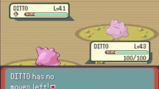 Pokémon Emerald  Ditto vs Ditto [upl. by Reivaxe]