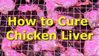 How to cure chicken liver with ProCure  Catch tons of catfish [upl. by Roderica]