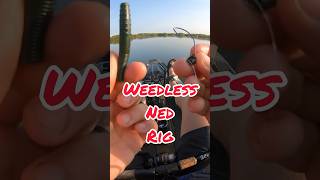 How To Hook Up a Weedless Ned Rig [upl. by Cirle]