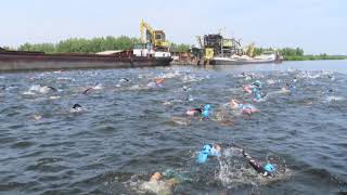 Triathlon Huizen 2019 zwemmen OD [upl. by Sajovich26]