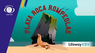 EBV 2024 Playa Roca Rompeolas [upl. by Amsirp261]