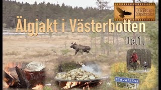 Moosehunt  Älgjakt i Västerbotten Del 1 [upl. by Spencer959]