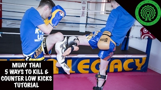 Muay Thai 5 Ways to Kill and Counter Low Kicks Tutorial [upl. by Rena]