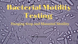 Motility testing Hanging Drop method and Mannitol Motility mltstudymaterial [upl. by Holub806]