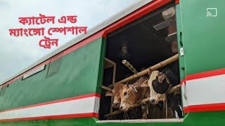 ক্যাটেল এন্ড ম্যাংঙ্গো স্পেশাল ট্রেনbdrailway bdrailfan padmarail [upl. by Zabrine]