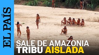 PERÚ  Indígenas Mashco Piro salen de la Amazonia en busca de comida  EL PAÍS [upl. by Lucita453]