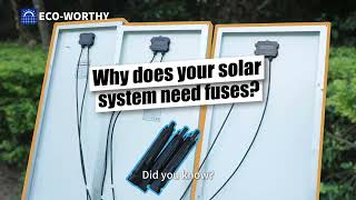 Essential Guide to Fuses in Solar Systems [upl. by Turtle]