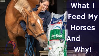 What I Feed My Horses and Why  Feeding Guide  Ad [upl. by Knowle971]