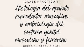 CLASE PRÁCTICA 11 [upl. by Teddi]