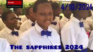 Prayer Day March Pass The Sapphires 2024 [upl. by Berkie]