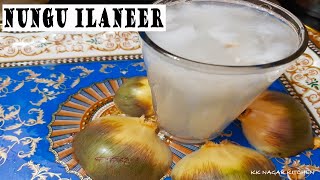 Nungu Ilaneer Juice  Tender Coconut  Tamil  KK Nagar Kitchen [upl. by Yasibit]