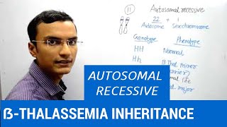 Inheritance of Beta Thalassemia  Autosomal recessive trait [upl. by Ardekahs]