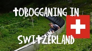 Tobogganing in Switzerland [upl. by Reube]