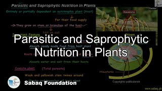 Parasitic and Saprophytic Nutrition in Plants Biology Lecture  Sabaqpk [upl. by Neved693]