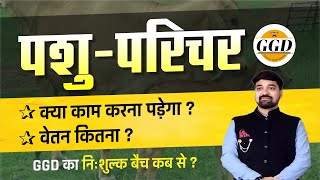 पशु परिचर  reet pre का निःशुल्क बैच कब से  पशु परिचर में सैलरी  काम क्या करना होगा  Gourav sir [upl. by Langley398]