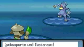 MoveDex Pokémon Testarazo  Head Smash [upl. by Ainehta358]