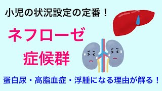 【症状は暗記ではなく理解】ネフローゼ症候群について解説 [upl. by Aidnahs461]