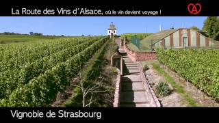 Vignoble de Strasbourg  Route des vins dAlsace [upl. by Raffaello18]