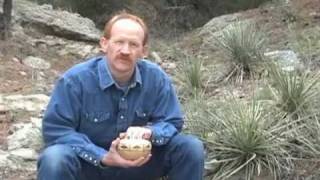 Segmented Patterns with Curt Theobald woodturning DVD preview [upl. by Miche820]