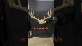 David’s Biggest Deer To Date 183” Monster deerhunting hunting bowhunting whitetaildeer shorts [upl. by Sulienroc823]