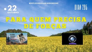 PARA QUEM PRECISA DE FORÇAS DIA 295 [upl. by Yelich]