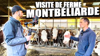 VISITE DUNE FERME LAITIERE🤠  EN CHARTREUSE  VACHE MONTBELIARDE🐄 [upl. by Asereht355]