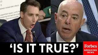 JUST IN Josh Hawley Explodes At Mayorkas Over App He Says Helps Illegal Immigrants Enter US [upl. by Atteuqahs788]