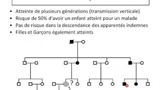 Hérédité autosomique dominante partie 1 [upl. by Allayne]