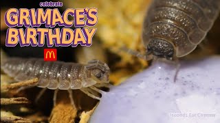 Isopods Drink Grimace Shake [upl. by Lorenza]