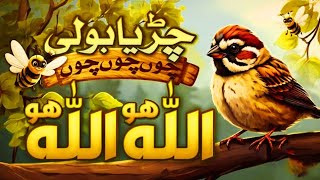 Chirya Boli Choo Choo Choo  Allah Hoo Allah Hoo Naat for Children  Beautiful Islamic Poem [upl. by Nerita]